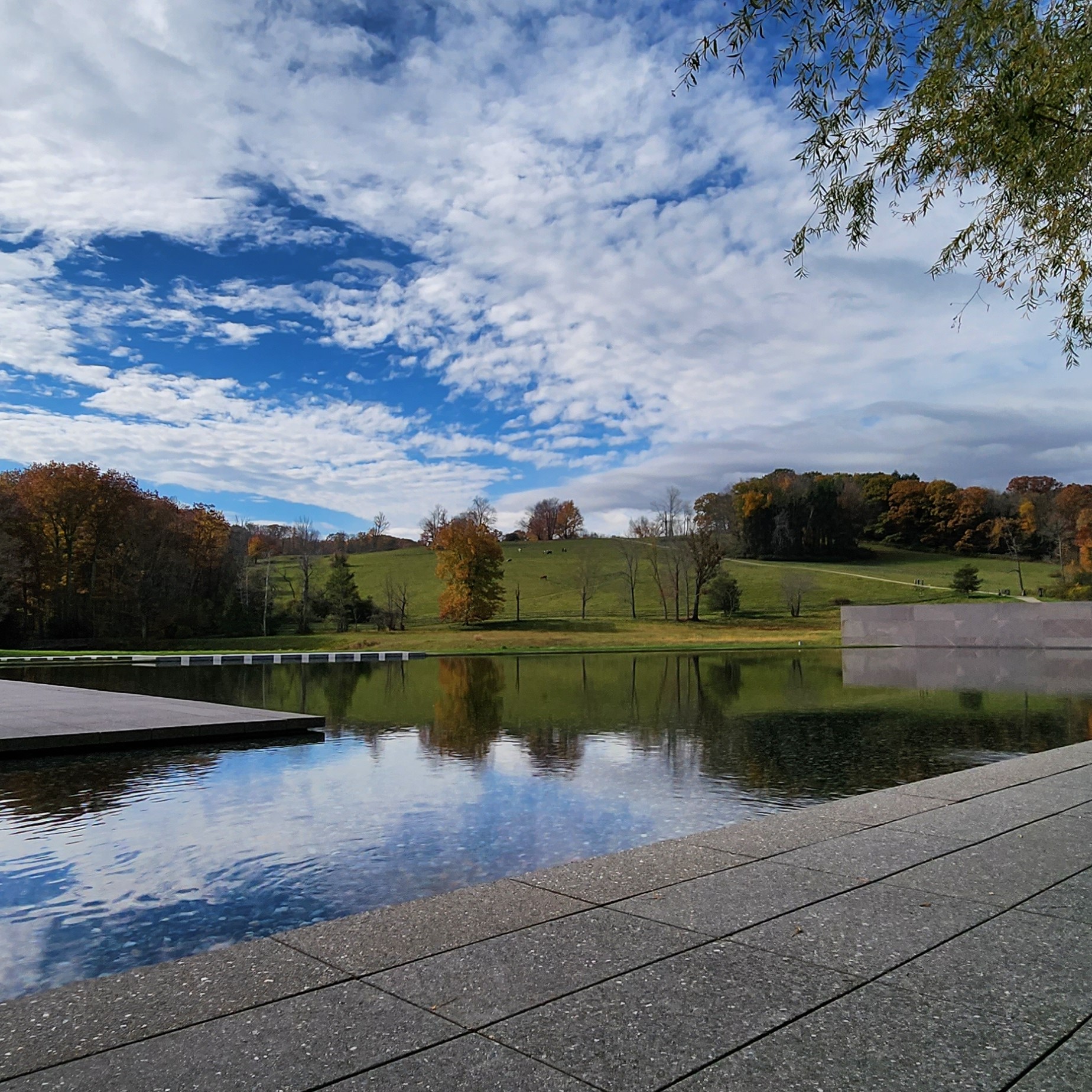 Image of tidal basin and field